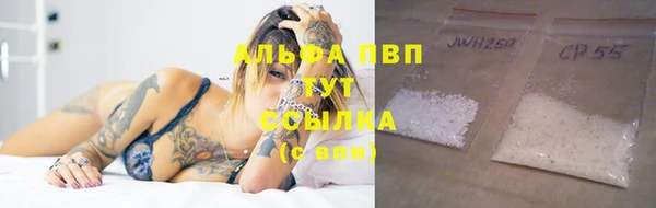 крисы Касимов