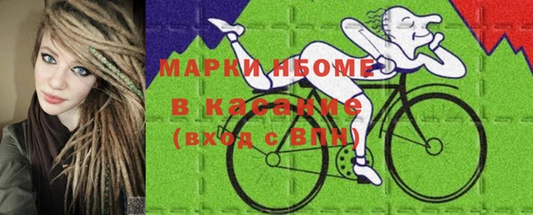 крисы Касимов