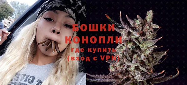 винт Карпинск