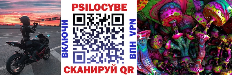 Купить закладки  Знаменск  Галлюциногенные грибы GOLDEN TEACHER 
